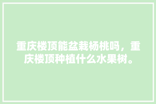 重庆楼顶能盆栽杨桃吗，重庆楼顶种植什么水果树。 重庆楼顶能盆栽杨桃吗，重庆楼顶种植什么水果树。 土壤施肥