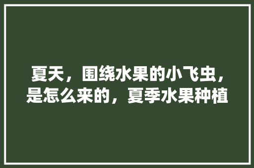 夏天，围绕水果的小飞虫，是怎么来的，夏季水果种植小技巧有哪些。 夏天，围绕水果的小飞虫，是怎么来的，夏季水果种植小技巧有哪些。 家禽养殖