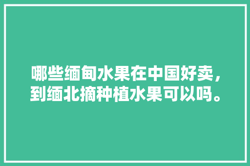 哪些缅甸水果在中国好卖，到缅北摘种植水果可以吗。 哪些缅甸水果在中国好卖，到缅北摘种植水果可以吗。 土壤施肥