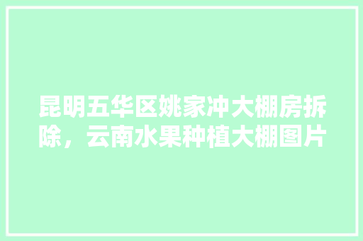 昆明五华区姚家冲大棚房拆除，云南水果种植大棚图片。 昆明五华区姚家冲大棚房拆除，云南水果种植大棚图片。 畜牧养殖