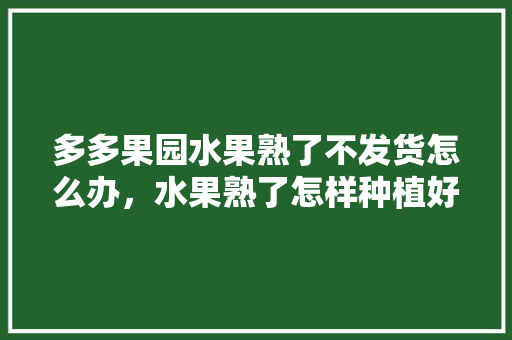 多多果园水果熟了不发货怎么办，水果熟了怎样种植好呢视频。 多多果园水果熟了不发货怎么办，水果熟了怎样种植好呢视频。 水果种植