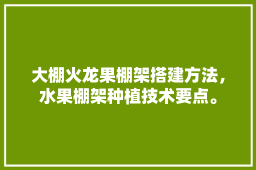 大棚火龙果棚架搭建方法，水果棚架种植技术要点。 大棚火龙果棚架搭建方法，水果棚架种植技术要点。 土壤施肥