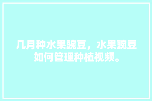 几月种水果豌豆，水果豌豆如何管理种植视频。 几月种水果豌豆，水果豌豆如何管理种植视频。 畜牧养殖