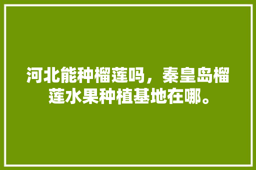 河北能种榴莲吗，秦皇岛榴莲水果种植基地在哪。 河北能种榴莲吗，秦皇岛榴莲水果种植基地在哪。 蔬菜种植