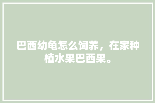 巴西幼龟怎么饲养，在家种植水果巴西果。 巴西幼龟怎么饲养，在家种植水果巴西果。 蔬菜种植