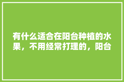 有什么适合在阳台种植的水果，不用经常打理的，阳台种植迷你水果好吗。 有什么适合在阳台种植的水果，不用经常打理的，阳台种植迷你水果好吗。 蔬菜种植