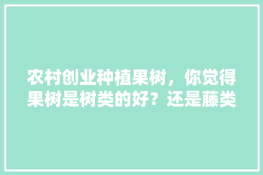 农村创业种植果树，你觉得果树是树类的好？还是藤类的好，什么水果最值得种植呢。 农村创业种植果树，你觉得果树是树类的好？还是藤类的好，什么水果最值得种植呢。 畜牧养殖