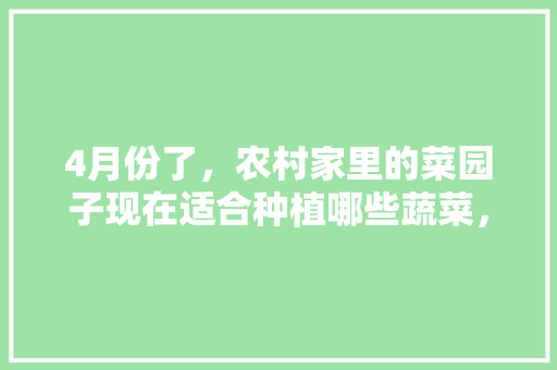 4月份了，农村家里的菜园子现在适合种植哪些蔬菜，蔬菜水果美观种植方法。 4月份了，农村家里的菜园子现在适合种植哪些蔬菜，蔬菜水果美观种植方法。 土壤施肥