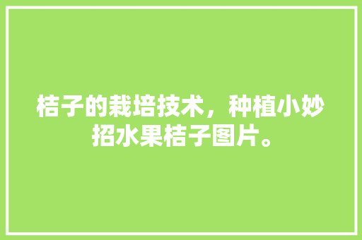 桔子的栽培技术，种植小妙招水果桔子图片。 桔子的栽培技术，种植小妙招水果桔子图片。 蔬菜种植