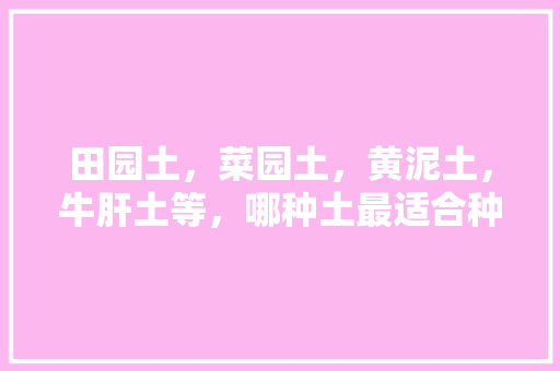 田园土，菜园土，黄泥土，牛肝土等，哪种土最适合种百香果？为什么，普通土种植什么水果最好。 田园土，菜园土，黄泥土，牛肝土等，哪种土最适合种百香果？为什么，普通土种植什么水果最好。 蔬菜种植