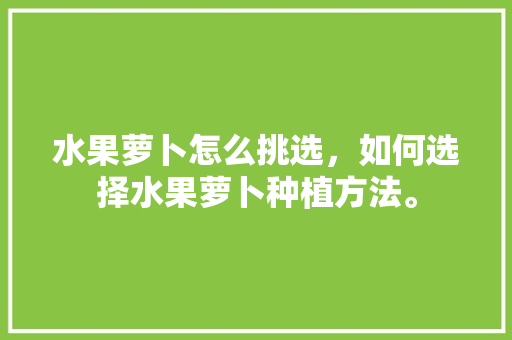 水果萝卜怎么挑选，如何选择水果萝卜种植方法。 水果萝卜怎么挑选，如何选择水果萝卜种植方法。 蔬菜种植