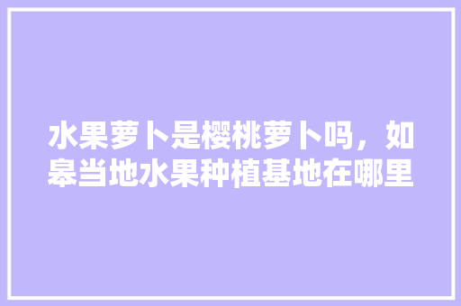 水果萝卜是樱桃萝卜吗，如皋当地水果种植基地在哪里。 水果萝卜是樱桃萝卜吗，如皋当地水果种植基地在哪里。 蔬菜种植