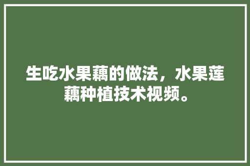 生吃水果藕的做法，水果莲藕种植技术视频。 生吃水果藕的做法，水果莲藕种植技术视频。 畜牧养殖