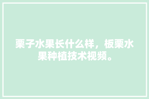 栗子水果长什么样，板栗水果种植技术视频。 栗子水果长什么样，板栗水果种植技术视频。 家禽养殖