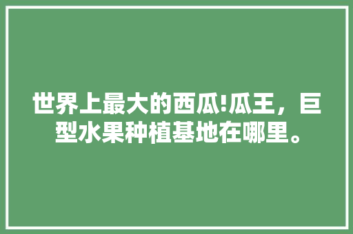 世界上最大的西瓜!瓜王，巨型水果种植基地在哪里。 世界上最大的西瓜!瓜王，巨型水果种植基地在哪里。 土壤施肥