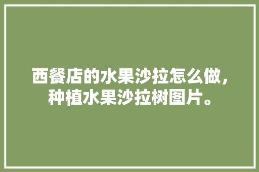 西餐店的水果沙拉怎么做，种植水果沙拉树图片。 西餐店的水果沙拉怎么做，种植水果沙拉树图片。 畜牧养殖