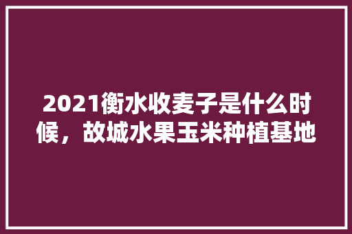 2021衡水收麦子是什么时候，故城水果玉米种植基地。 2021衡水收麦子是什么时候，故城水果玉米种植基地。 家禽养殖