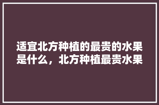 适宜北方种植的最贵的水果是什么，北方种植最贵水果是什么。 适宜北方种植的最贵的水果是什么，北方种植最贵水果是什么。 土壤施肥