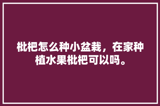 枇杷怎么种小盆栽，在家种植水果枇杷可以吗。 枇杷怎么种小盆栽，在家种植水果枇杷可以吗。 蔬菜种植