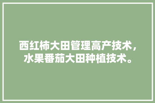 西红柿大田管理高产技术，水果番茄大田种植技术。 西红柿大田管理高产技术，水果番茄大田种植技术。 水果种植