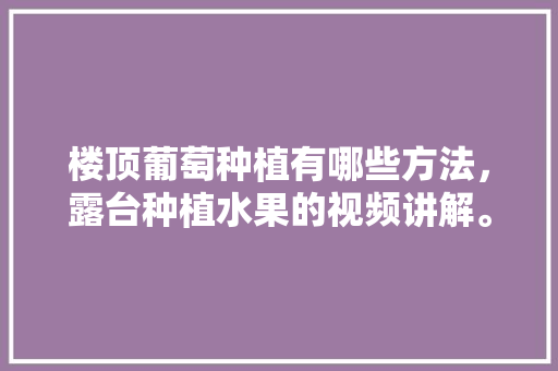 楼顶葡萄种植有哪些方法，露台种植水果的视频讲解。 楼顶葡萄种植有哪些方法，露台种植水果的视频讲解。 家禽养殖