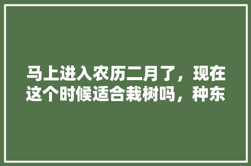 马上进入农历二月了，现在这个时候适合栽树吗，种东西领水果。 马上进入农历二月了，现在这个时候适合栽树吗，种东西领水果。 土壤施肥