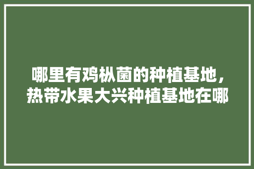 哪里有鸡枞菌的种植基地，热带水果大兴种植基地在哪里。 哪里有鸡枞菌的种植基地，热带水果大兴种植基地在哪里。 畜牧养殖