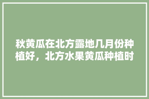 秋黄瓜在北方露地几月份种植好，北方水果黄瓜种植时间表。 秋黄瓜在北方露地几月份种植好，北方水果黄瓜种植时间表。 土壤施肥