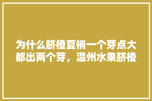 为什么脐橙夏梢一个芽点大都出两个芽，温州水果脐橙种植基地在哪里。 为什么脐橙夏梢一个芽点大都出两个芽，温州水果脐橙种植基地在哪里。 水果种植