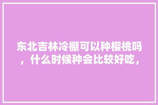 东北吉林冷棚可以种樱桃吗，什么时候种会比较好吃，东北水果冬季种植时间。 东北吉林冷棚可以种樱桃吗，什么时候种会比较好吃，东北水果冬季种植时间。 水果种植