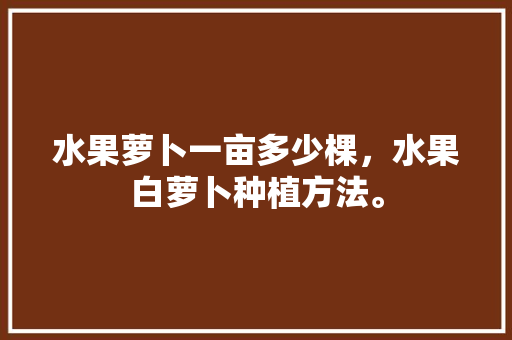 水果萝卜一亩多少棵，水果白萝卜种植方法。 水果萝卜一亩多少棵，水果白萝卜种植方法。 水果种植