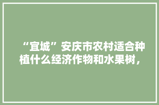 “宜城”安庆市农村适合种植什么经济作物和水果树，农村房子种植水果怎么样。 “宜城”安庆市农村适合种植什么经济作物和水果树，农村房子种植水果怎么样。 土壤施肥