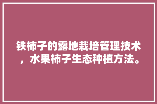 铁柿子的露地栽培管理技术，水果柿子生态种植方法。 铁柿子的露地栽培管理技术，水果柿子生态种植方法。 畜牧养殖