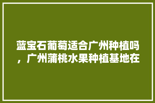 蓝宝石葡萄适合广州种植吗，广州蒲桃水果种植基地在哪里。 蓝宝石葡萄适合广州种植吗，广州蒲桃水果种植基地在哪里。 家禽养殖