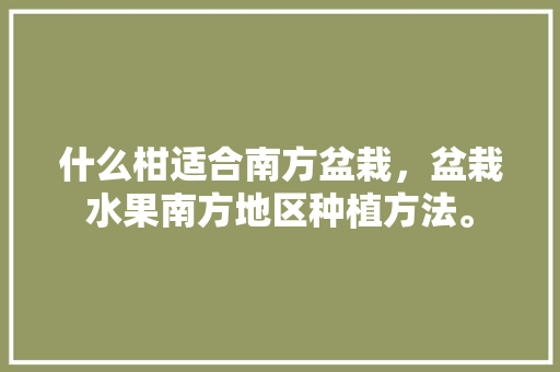 什么柑适合南方盆栽，盆栽水果南方地区种植方法。 什么柑适合南方盆栽，盆栽水果南方地区种植方法。 蔬菜种植