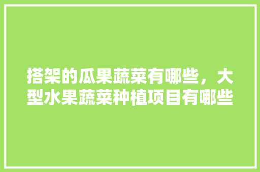 搭架的瓜果蔬菜有哪些，大型水果蔬菜种植项目有哪些。 搭架的瓜果蔬菜有哪些，大型水果蔬菜种植项目有哪些。 家禽养殖