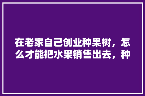 在老家自己创业种果树，怎么才能把水果销售出去，种植水果经销方案怎么写。 在老家自己创业种果树，怎么才能把水果销售出去，种植水果经销方案怎么写。 土壤施肥