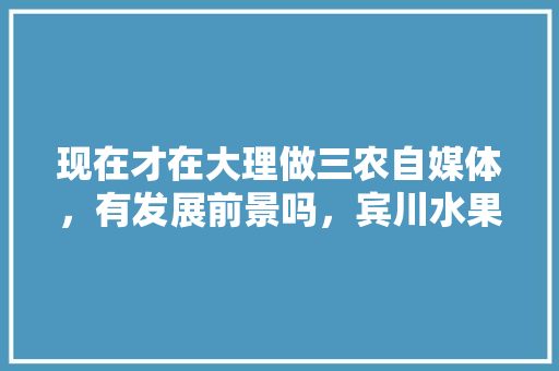 现在才在大理做三农自媒体，有发展前景吗，宾川水果种植视频播放。 现在才在大理做三农自媒体，有发展前景吗，宾川水果种植视频播放。 土壤施肥