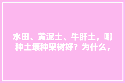 水田、黄泥土、牛肝土，哪种土壤种果树好？为什么，营养土种植水果能吃吗有毒吗。 水田、黄泥土、牛肝土，哪种土壤种果树好？为什么，营养土种植水果能吃吗有毒吗。 土壤施肥