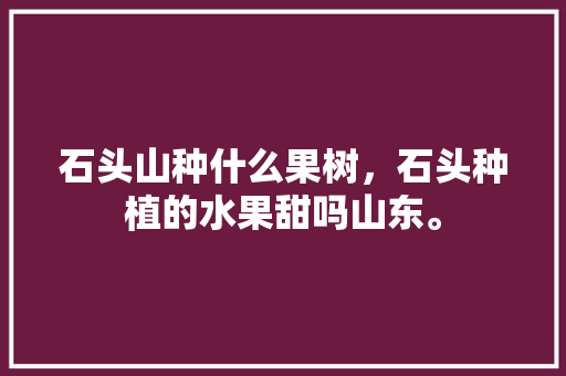 石头山种什么果树，石头种植的水果甜吗山东。 石头山种什么果树，石头种植的水果甜吗山东。 土壤施肥