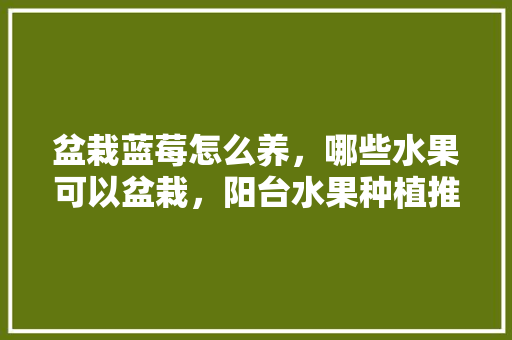 盆栽蓝莓怎么养，哪些水果可以盆栽，阳台水果种植推荐品种。 盆栽蓝莓怎么养，哪些水果可以盆栽，阳台水果种植推荐品种。 畜牧养殖