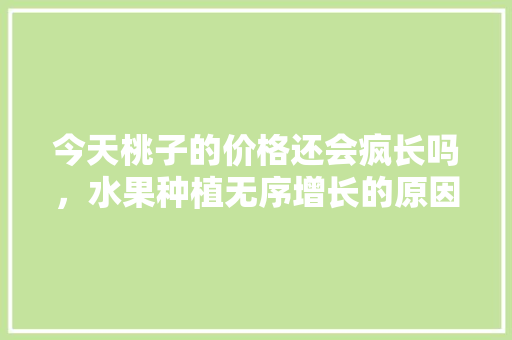 今天桃子的价格还会疯长吗，水果种植无序增长的原因。 今天桃子的价格还会疯长吗，水果种植无序增长的原因。 畜牧养殖