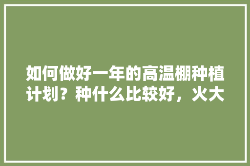 如何做好一年的高温棚种植计划？种什么比较好，火大的水果有哪些?。 如何做好一年的高温棚种植计划？种什么比较好，火大的水果有哪些?。 畜牧养殖