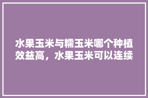 水果玉米与糯玉米哪个种植效益高，水果玉米可以连续种植吗。 水果玉米与糯玉米哪个种植效益高，水果玉米可以连续种植吗。 家禽养殖