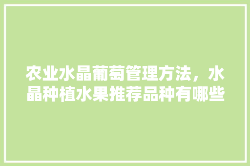 农业水晶葡萄管理方法，水晶种植水果推荐品种有哪些。 农业水晶葡萄管理方法，水晶种植水果推荐品种有哪些。 水果种植