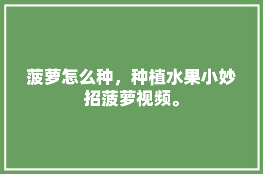 菠萝怎么种，种植水果小妙招菠萝视频。 菠萝怎么种，种植水果小妙招菠萝视频。 水果种植