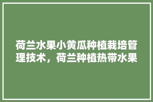 荷兰水果小黄瓜种植栽培管理技术，荷兰种植热带水果有哪些。 荷兰水果小黄瓜种植栽培管理技术，荷兰种植热带水果有哪些。 家禽养殖