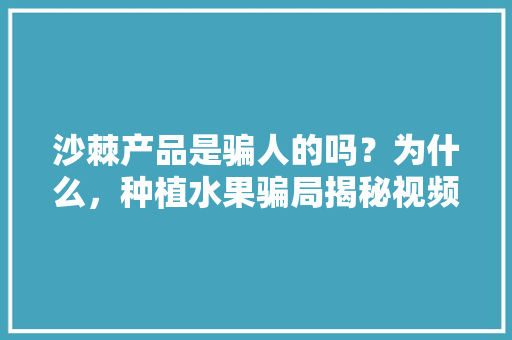 沙棘产品是骗人的吗？为什么，种植水果骗局揭秘视频。 沙棘产品是骗人的吗？为什么，种植水果骗局揭秘视频。 水果种植