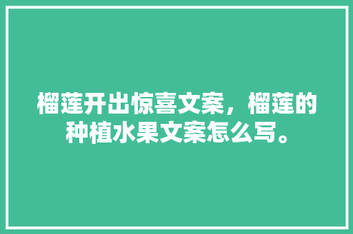 榴莲开出惊喜文案，榴莲的种植水果文案怎么写。 榴莲开出惊喜文案，榴莲的种植水果文案怎么写。 水果种植