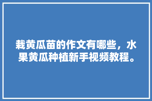 栽黄瓜苗的作文有哪些，水果黄瓜种植新手视频教程。 栽黄瓜苗的作文有哪些，水果黄瓜种植新手视频教程。 土壤施肥